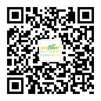 花更好微信公众号