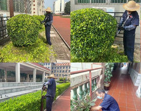 花更好户外绿化管护